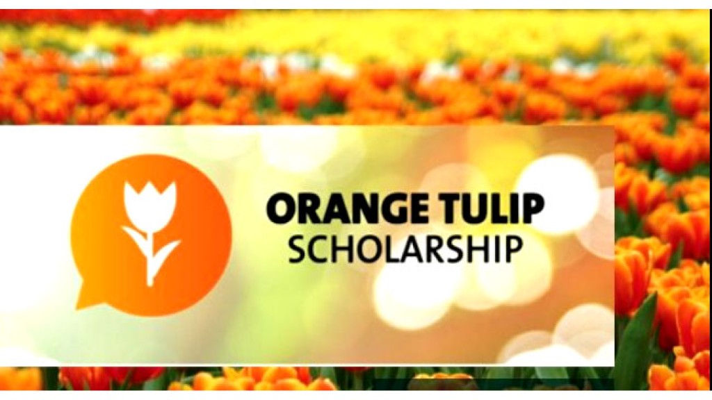 Orange Tulip Scholarship
